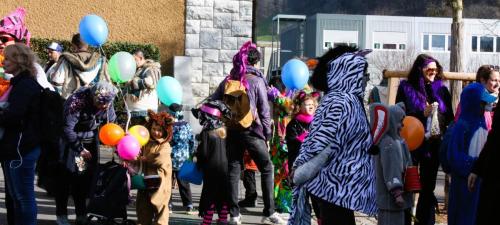 IMG 4940a